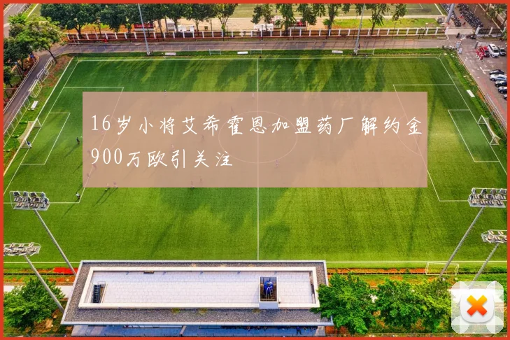 16岁小将艾希霍恩加盟药厂解约金900万欧引关注